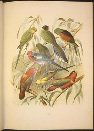 Vogelbilder aus fernen Zonen. Abbildungen und Beschreibungen der Papageien. Allen Naturfreunden, ...