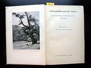 Bild des Verkufers fr Lebensbilder aus der Natur. Ein naturgeschichtliches Lesebuch fr Schule und Haus. zum Verkauf von Augusta-Antiquariat GbR