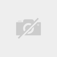 Immagine del venditore per LA DIANA EST� EN LA CUMBRE venduto da Librer�a Maestro Gozalbo