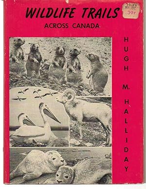 Imagen del vendedor de Wildlife Trails Across Canada a la venta por Silver Creek Books & Antiques