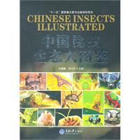 Bild des Verkufers fr Chinese Insects Illustrated zum Verkauf von liu xing
