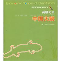 Image du vendeur pour The King of Amphibian Chinese Giant Salamander mis en vente par liu xing