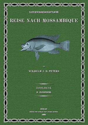 Reise nach Mossambique - 4: Flussfische