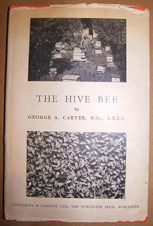 The Hive Bee.