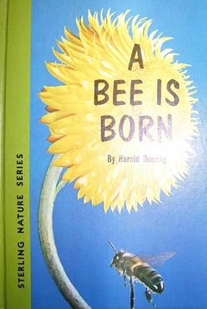 A Bee is Born.