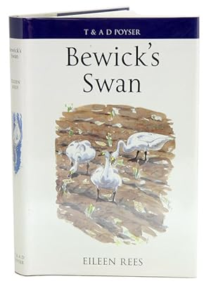 Bild des Verkufers fr Bewick's Swan. zum Verkauf von Andrew Isles Natural History Books