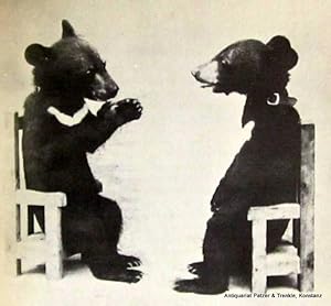 Seller image for Nip and Tuck. A True Story of Two Little Bears. New York, The Viking Press, 1935. Mit zahlreichen, teils ganzseitigen fotografischen Abbildungen. 88 S. Or.-Lwd. mit Deckelbild (die beiden Bren sitzen auf Holzsthlen); Rcken fleckig, auch die Deckel am Rand betroffen. for sale by Jrgen Patzer