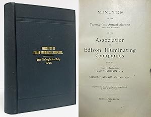 THE ASSOCIATION OF EDISON ILLUMINATING COMPANIES Minutes of the Twenty-First Annual Meeting