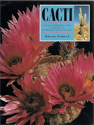 Seller image for Cacti: An Illustrated Guide to over 150 Representative Species for sale by Beverly Loveless