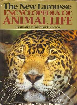 Immagine del venditore per The New Larousse Encyclopedia of Animal Life.[protozoans mesozoans sponges hyrdoids jellyfishes corals flatworms flukes tapeworms ribbon round molluscs arthropods chordates fish birds reptiles mammals, amphibians] venduto da Joseph Valles - Books