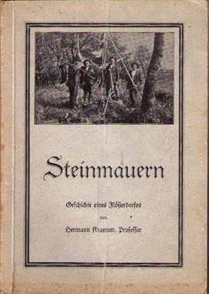 Imagen del vendedor de Steinmauern, Geschichte eines Flerdorfes, a la venta por Antiquariat Im Baldreit