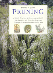 Seller image for Pruning for sale by Don's Book Store