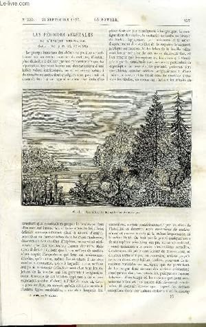 Bild des Verkufers fr La nature n 225 - Les priodes vgtales de l'poque tertiaire par le comte G. de Saporta, Les singes anthropomorphes par E. Oustalet, Acoustique biologique par C.M. Gariel zum Verkauf von Le-Livre