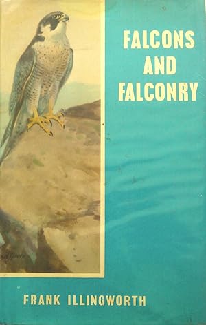Falcons and Falconry