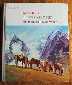 Haflinger - Ein Pferd Erobert Die Herzen Der Volker