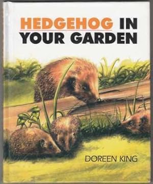 Hedgehog in Your Garden