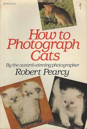 How to Photograph Cats