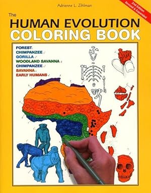 Seller image for The Human Evolution Coloring Book (Paperback) for sale by Grand Eagle Retail