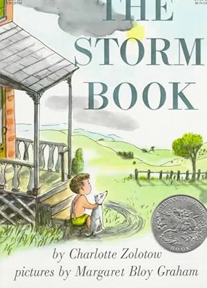 Imagen del vendedor de The Storm Book (Paperback) a la venta por Grand Eagle Retail