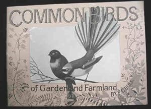 Common Birds of Garden and Farmland