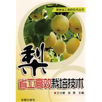 Seller image for Pear provincial industrial and efficient cultivation techniques(Chinese Edition) for sale by liu xing