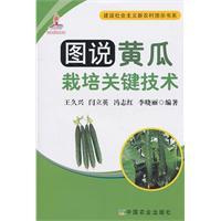 Immagine del venditore per Illustrated key technology cucumber cultivation(Chinese Edition) venduto da liu xing