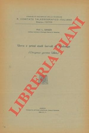 Uova e primi stadi larvali di Alagonga (Orcynus germo Ltkn.)