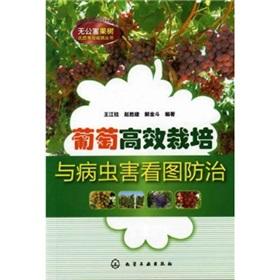 Immagine del venditore per Grape Cultivation and pest control plug-quality and efficient pollution-free cultivation of fruit Books(Chinese Edition) venduto da liu xing