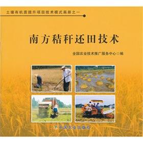 Imagen del vendedor de South of straw(Chinese Edition) a la venta por liu xing
