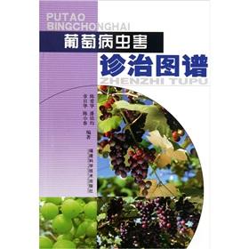 Imagen del vendedor de Grape pest and disease diagnosis and treatment patterns(Chinese Edition) a la venta por liu xing