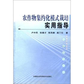 Imagen del vendedor de Pattern intensive crop cultivation and practical guidance(Chinese Edition) a la venta por liu xing