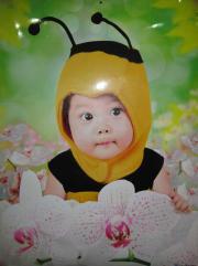 Imagen del vendedor de Angel Baby charts (5 bees baby) baby health massage operation(Chinese Edition) a la venta por liu xing