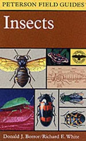 Seller image for Field Guide to Insects (Paperback) for sale by Grand Eagle Retail