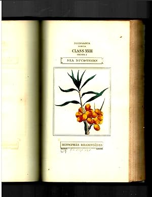 THE CLASSES AND ORDERS OF THE LINNAEAN SYSTEM OF BOTANY.