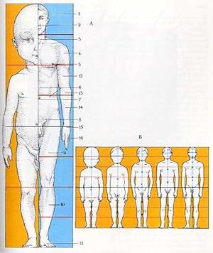 Funktionelle Anatomie und Histologie in Text und Bild. Nachdruck der ersten Auflage. Illustration...