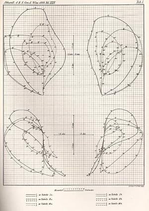 Imagen del vendedor de ber den Anteil den die einzelnen Gelenke des Schultergrtels an der Beweglichkeit des menschlichen Humerus haben. a la venta por Antiq. F.-D. Shn - Medicusbooks.Com