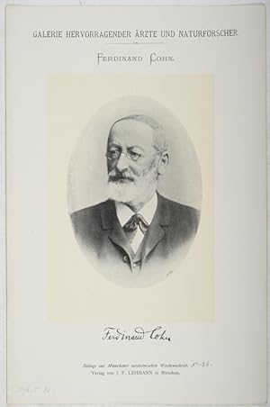 Bild des Verkufers fr Portrait, Brustbild, Photographie, Lichtdruck 8,5 x 12 cm. zum Verkauf von Antiq. F.-D. Shn - Medicusbooks.Com
