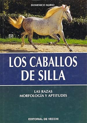 LOS CABALLOS DE SILLA :Las razas, morfología y aptitudes