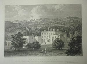 Seller image for Fine Original Antique Engraving Illustrating Tor Abbey in Devonshire. Published in 1830. for sale by Rostron & Edwards