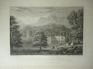 Seller image for Fine Original Antique Engraving Illustrating Cockington Court in Devonshire. Published in 1830. for sale by Rostron & Edwards