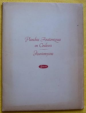 Planches anatomiques en couleurs. Auréomycine.