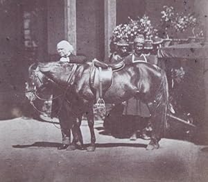 Old Gentleman With Horse & African Natives.