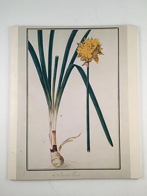 Seller image for Botanical Watercolours 1650 - 1850 for sale by WellRead Books A.B.A.A.