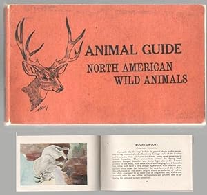 Animal Guide: North American Wild Animals by Reed, Charles K.: paperback  (1915) First Edition. | Mystery Cove Book Shop