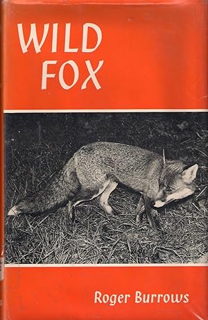 Seller image for WILD FOX: A COMPLETE STUDY OF THE RED FOX. By Roger Burrows. Hardback first edition. for sale by Coch-y-Bonddu Books Ltd