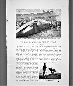 Seller image for Wonderful Whale Hunting By Steam for sale by Legacy Books II