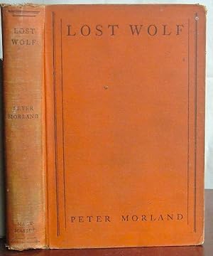Immagine del venditore per Lost Wolf venduto da Canford Book Corral