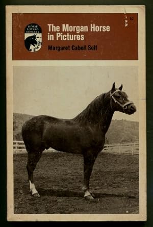 The Morgan Horse in Pictures