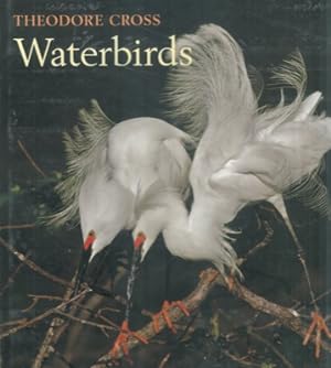 Imagen del vendedor de Waterbirds. a la venta por Libreria Piani