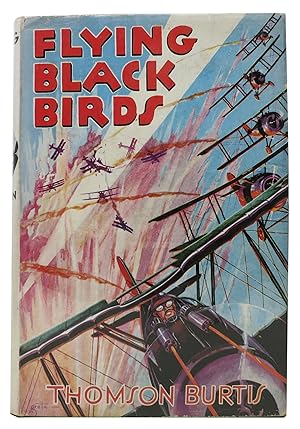 FLYING BLACK BIRDS. Air Combat Stories for Boys #4